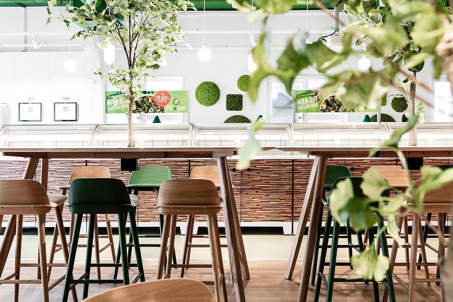 nature et plantes dans un cafétéria de bureau