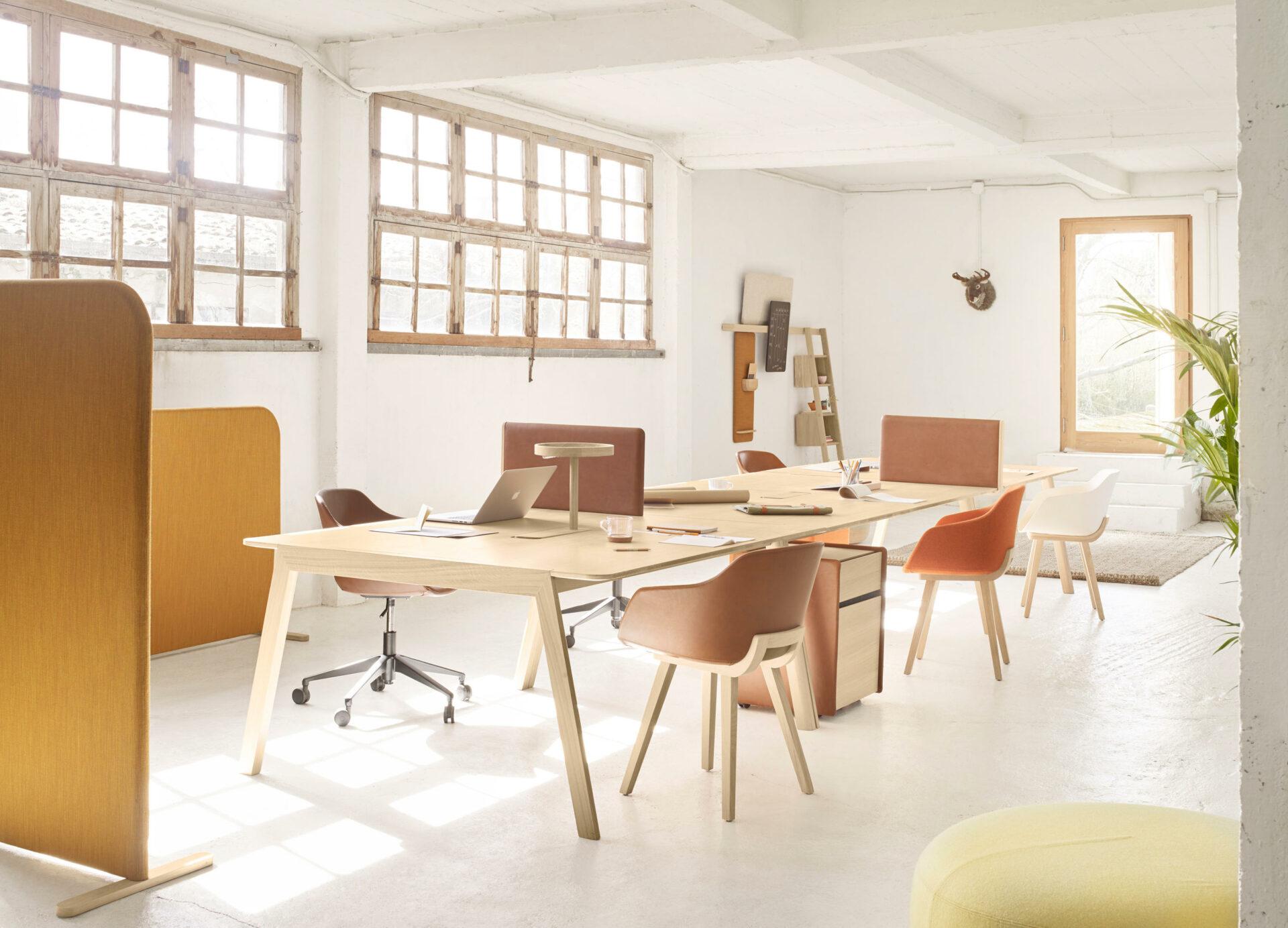 salle de réunion en coworking bois